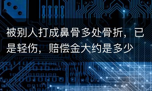 被别人打成鼻骨多处骨折，已是轻伤，赔偿金大约是多少