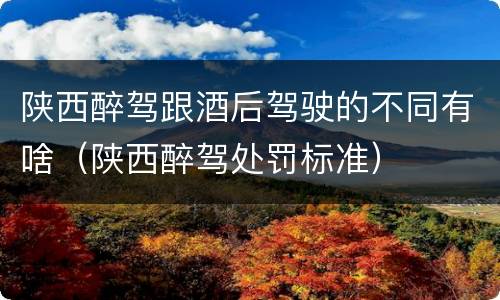 陕西醉驾跟酒后驾驶的不同有啥（陕西醉驾处罚标准）