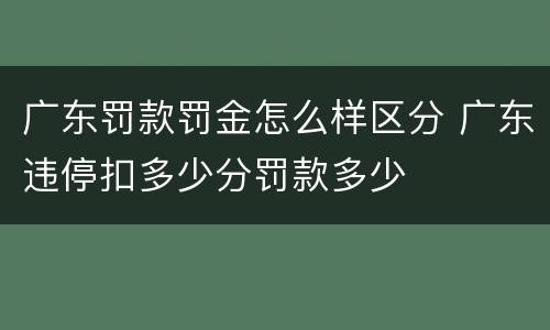 广东罚款罚金怎么样区分 广东违停扣多少分罚款多少