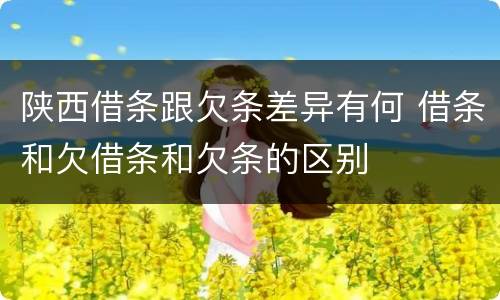 陕西借条跟欠条差异有何 借条和欠借条和欠条的区别