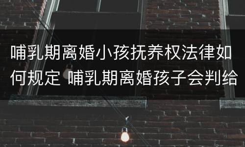 哺乳期离婚小孩抚养权法律如何规定 哺乳期离婚孩子会判给谁以及抚养费