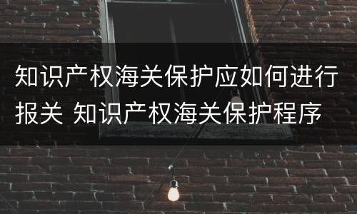 知识产权海关保护应如何进行报关 知识产权海关保护程序