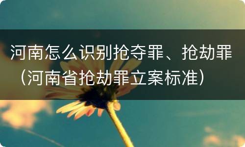 河南怎么识别抢夺罪、抢劫罪（河南省抢劫罪立案标准）