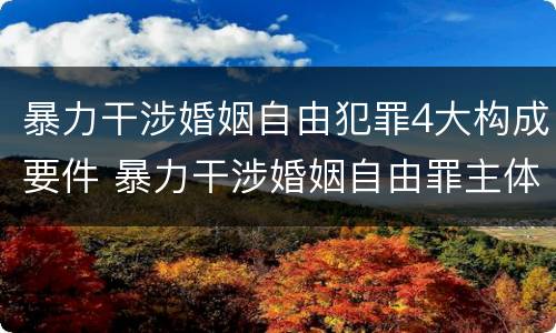 暴力干涉婚姻自由犯罪4大构成要件 暴力干涉婚姻自由罪主体