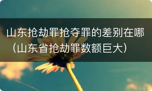 山东抢劫罪抢夺罪的差别在哪（山东省抢劫罪数额巨大）