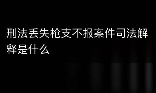 刑法丢失枪支不报案件司法解释是什么