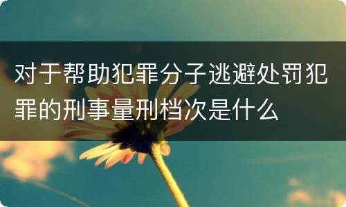 对于帮助犯罪分子逃避处罚犯罪的刑事量刑档次是什么