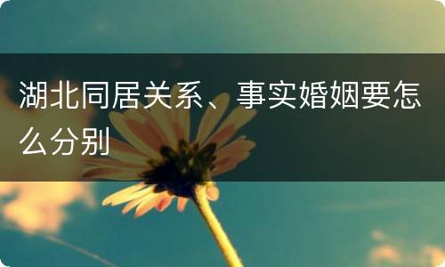 湖北同居关系、事实婚姻要怎么分别