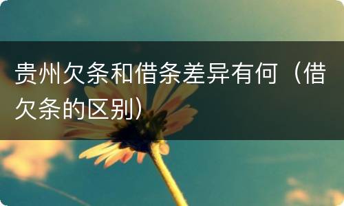 贵州欠条和借条差异有何（借欠条的区别）