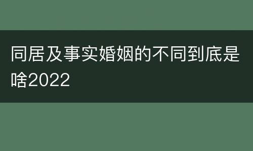 同居及事实婚姻的不同到底是啥2022
