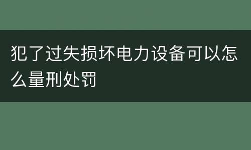 犯了过失损坏电力设备可以怎么量刑处罚