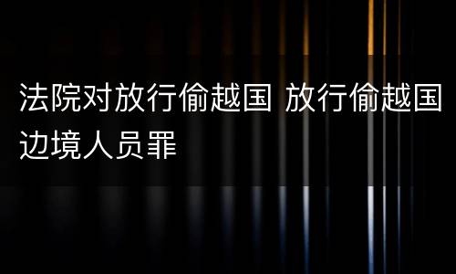 法院对放行偷越国 放行偷越国边境人员罪