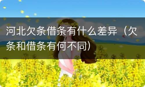 河北欠条借条有什么差异（欠条和借条有何不同）
