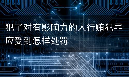 犯了对有影响力的人行贿犯罪应受到怎样处罚