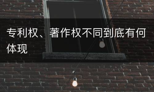 专利权、著作权不同到底有何体现