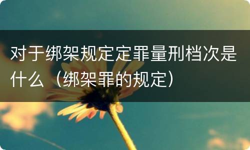 对于绑架规定定罪量刑档次是什么（绑架罪的规定）