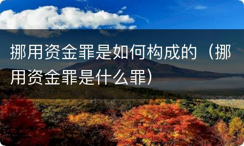 挪用资金罪是如何构成的（挪用资金罪是什么罪）