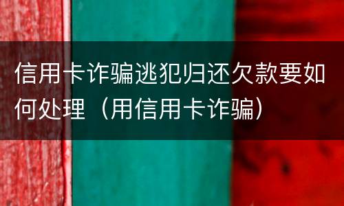 信用卡诈骗逃犯归还欠款要如何处理（用信用卡诈骗）