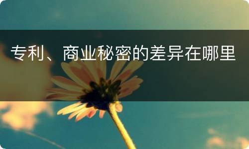 专利、商业秘密的差异在哪里