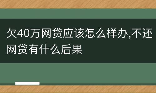 欠40万网贷应该怎么样办,不还网贷有什么后果