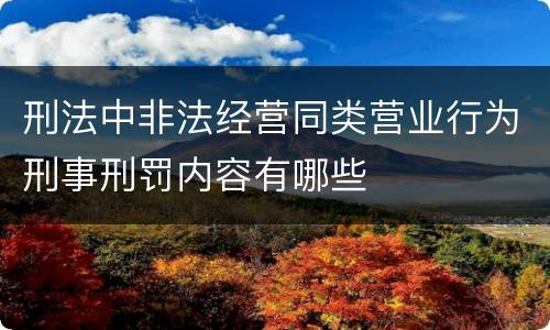 刑法中非法经营同类营业行为刑事刑罚内容有哪些
