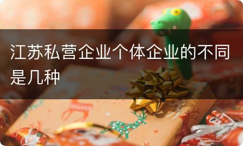 江苏私营企业个体企业的不同是几种