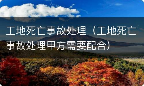 工地死亡事故处理（工地死亡事故处理甲方需要配合）
