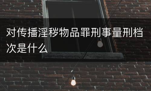 对传播淫秽物品罪刑事量刑档次是什么