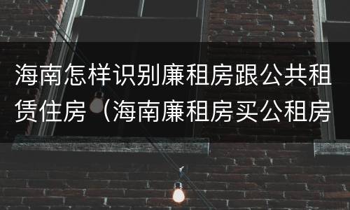 海南怎样识别廉租房跟公共租赁住房（海南廉租房买公租房后悔了）