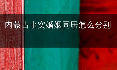 内蒙古事实婚姻同居怎么分别