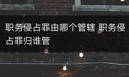 职务侵占罪由哪个管辖 职务侵占罪归谁管