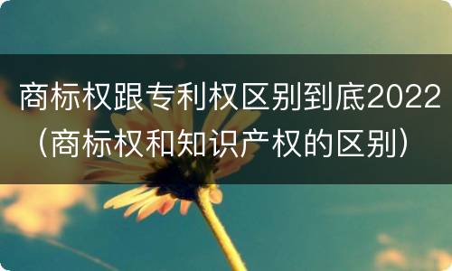 商标权跟专利权区别到底2022（商标权和知识产权的区别）