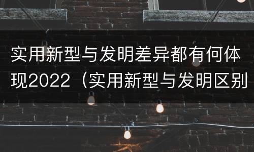 实用新型与发明差异都有何体现2022（实用新型与发明区别）
