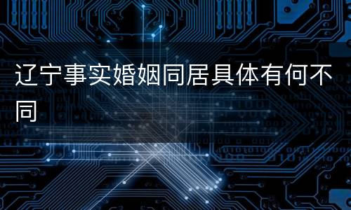 辽宁事实婚姻同居具体有何不同