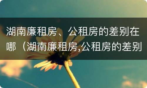 湖南廉租房、公租房的差别在哪（湖南廉租房,公租房的差别在哪里）