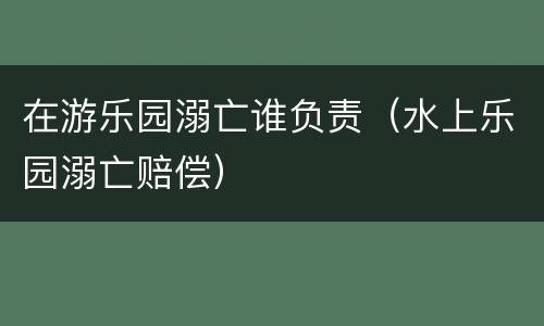 在游乐园溺亡谁负责（水上乐园溺亡赔偿）