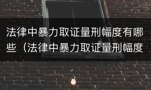 法律中暴力取证量刑幅度有哪些（法律中暴力取证量刑幅度有哪些标准）