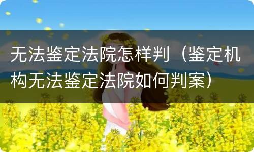 无法鉴定法院怎样判（鉴定机构无法鉴定法院如何判案）