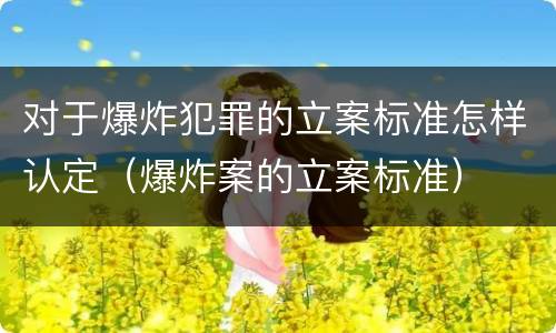 对于爆炸犯罪的立案标准怎样认定（爆炸案的立案标准）