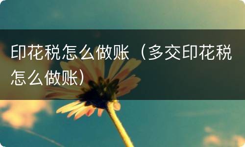 印花税怎么做账（多交印花税怎么做账）