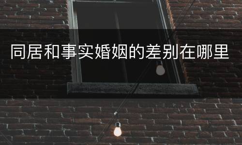 同居和事实婚姻的差别在哪里