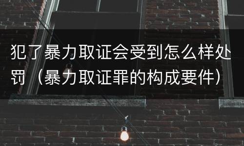 犯了暴力取证会受到怎么样处罚（暴力取证罪的构成要件）