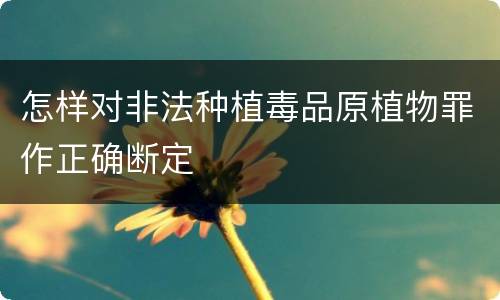 怎样对非法种植毒品原植物罪作正确断定