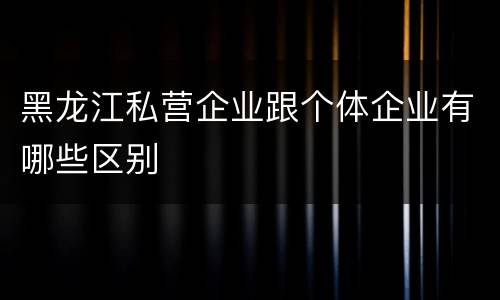 黑龙江私营企业跟个体企业有哪些区别