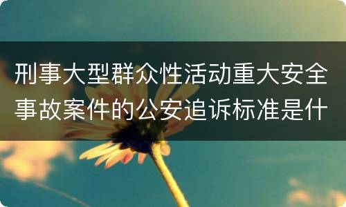 刑事大型群众性活动重大安全事故案件的公安追诉标准是什么