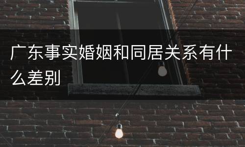 广东事实婚姻和同居关系有什么差别