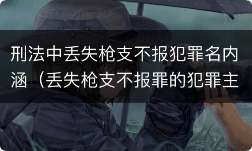 刑法中丢失枪支不报犯罪名内涵（丢失枪支不报罪的犯罪主体只能是什么）