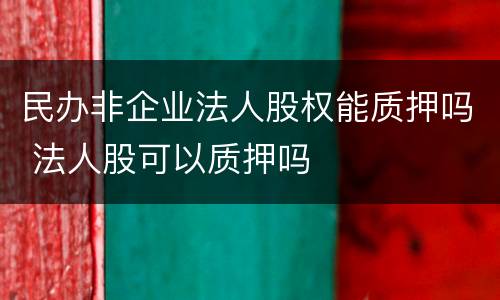 民办非企业法人股权能质押吗 法人股可以质押吗
