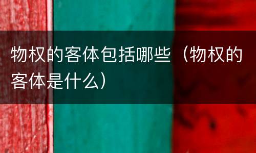 物权的客体包括哪些（物权的客体是什么）