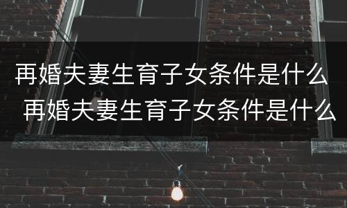 再婚夫妻生育子女条件是什么 再婚夫妻生育子女条件是什么意思